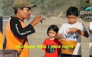 pantai sukamade banyuwangi,pantai sukamade meru betiri,pantai sukamade di banyuwangi,pantai sukamade taman nasional,pantai sukamade wikipedia,sukamade pantai penyu,pantai penyu sukamade banyuwangi,wisata pantai sukamade banyuwangi,pantai sukamade meru betiri national park,penginapan di pantai sukamade banyuwangi,pantai sukamade east java,cara ke pantai sukamade,akses ke pantai sukamade,rute ke pantai sukamade,pantai penyu sukamade,sukamade adventure,Sukamade Adventure Tour